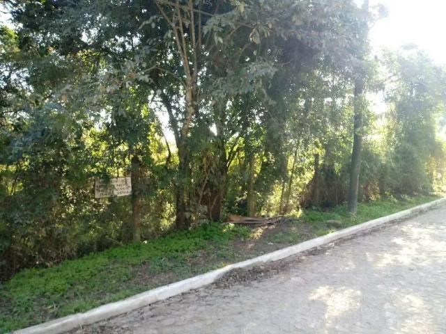 Terreno venda em Cinturão Azul, Viamão