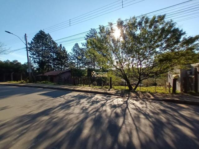 Terreno venda em Sede, Viamão