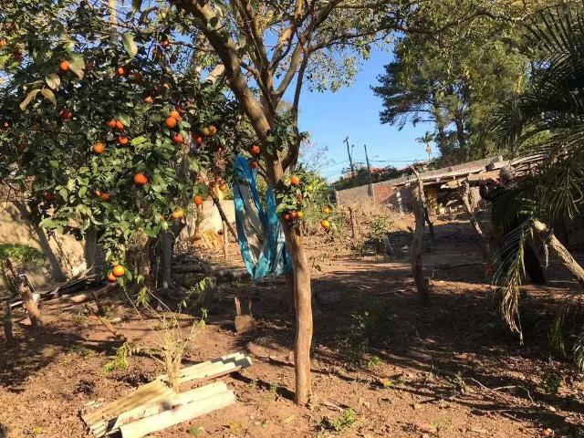 Terreno venda em Sede, Viamão