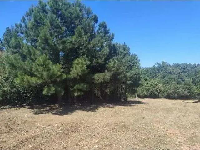 Terreno venda em Vivendas do Parque, Viamão
