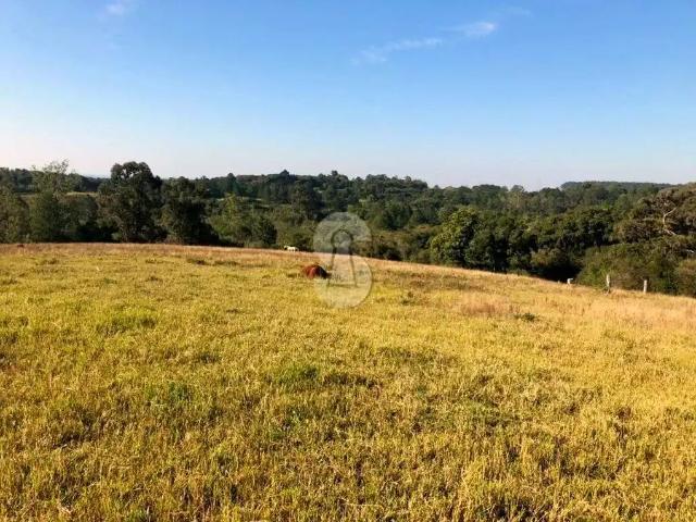 Terreno venda em Região Geográfica Imediata de Porto Alegre, Região Metropolitana de Porto Alegre