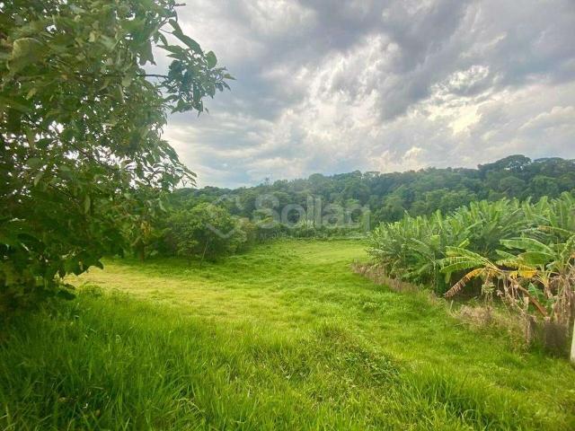 Terreno venda em Região Imediata de Campinas, Região Metropolitana de Campinas