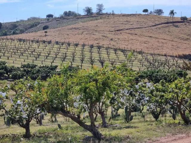 Terreno venda em Região Imediata de Campinas, Região Metropolitana de Campinas