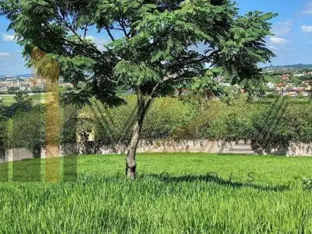 Terreno venda em Mira Estrela, São Paulo