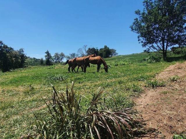 Terreno venda em Vinhedo