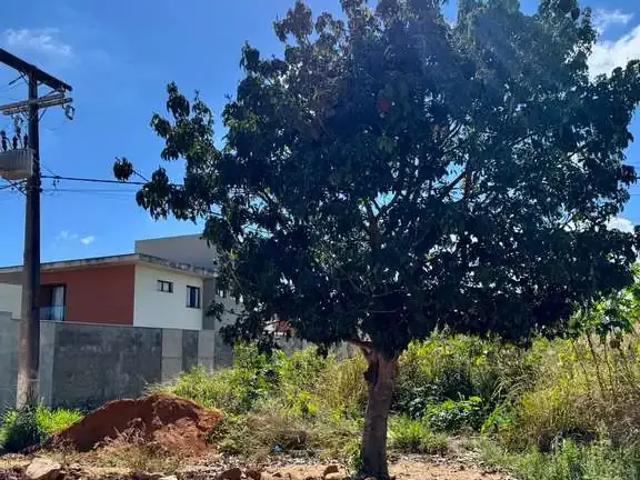 Terreno venda em Região Geográfica Imediata de Vitória da Conquista, Teodoro Sampaio