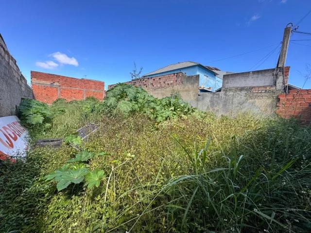Terreno venda em Região Geográfica Imediata de Vitória da Conquista, Teodoro Sampaio