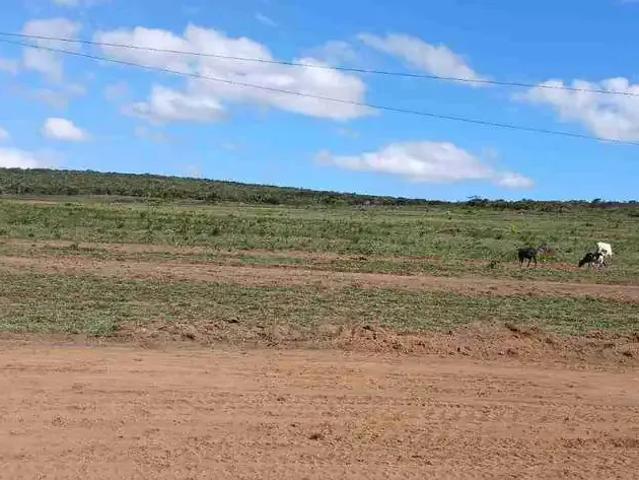 Terreno venda em Região Geográfica Imediata de Vitória da Conquista, Teodoro Sampaio