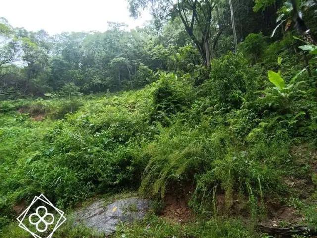 Terreno venda em Região Geográfica Imediata de Volta Redonda-Barra Mansa, Volta Redonda