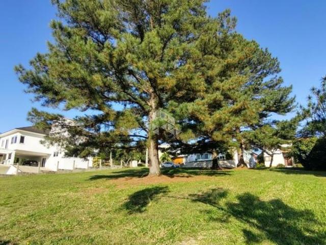 Terreno venda em Região Geográfica Imediata de Porto Alegre, Região Metropolitana de Porto Alegre