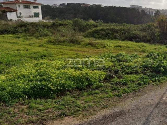 Terreno venda em Coimbrã, Coimbra