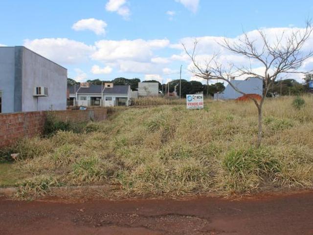 Terreno venda em Região Geográfica Imediata de Cascavel, Vera Cruz do Oeste