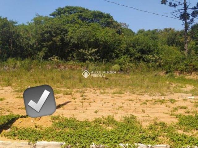 Terreno venda em Região Geográfica Imediata de Montenegro, Região Metropolitana de Porto Alegre