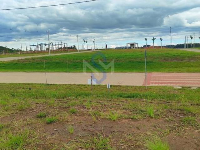 Terreno venda em Pitangueiras, Santo Antônio da Patrulha