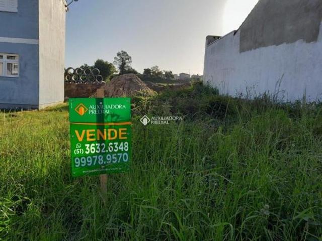 Terreno venda em Região Geográfica Imediata de Montenegro, Região Metropolitana de Porto Alegre