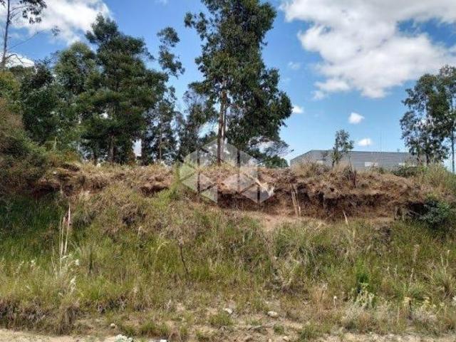 Terreno venda em Região Geográfica Imediata de Caxias do Sul, Farroupilha