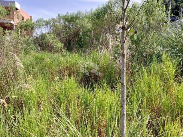 Terreno venda em Região Geográfica Imediata de Bento Gonçalves, Bento Gonçalves