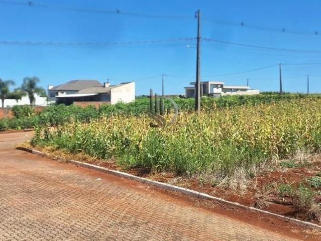 Terreno venda em Selbach