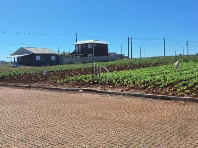 Terreno venda em Selbach