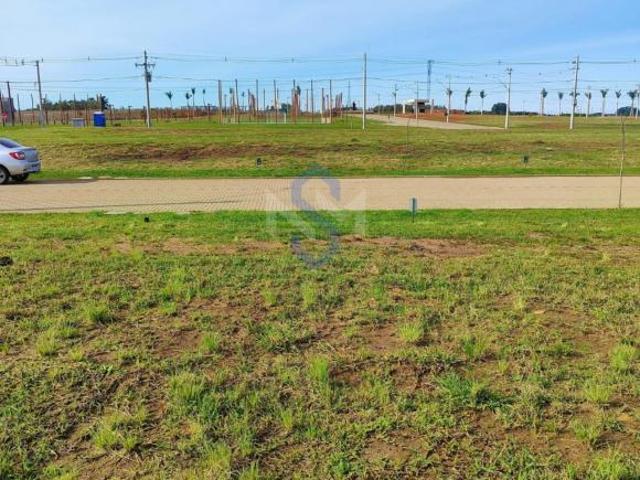 Terreno venda em Pitangueiras, Santo Antônio da Patrulha