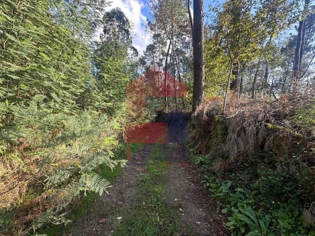 Terreno venda em Senhora do Alívio, Vila Verde