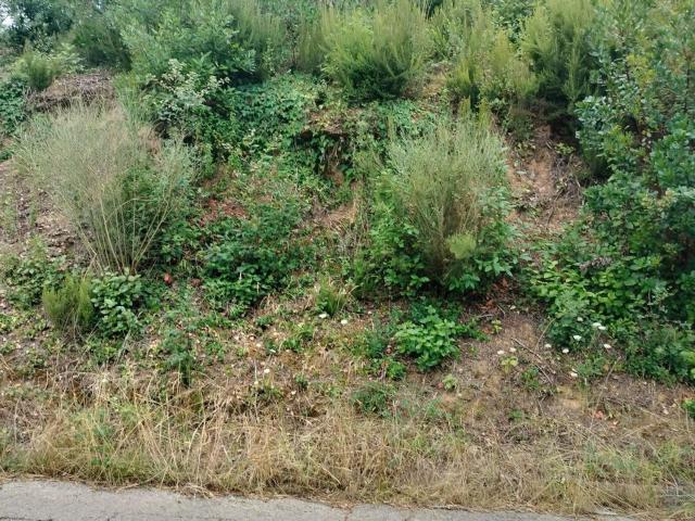 Terreno en venta en Montbarbat, la Selva