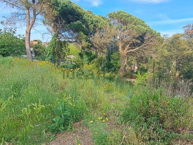 Terreno en venta en la Selva, Catalunya