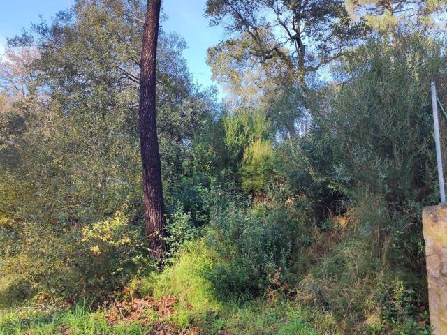 Terreno en venta en Maçanet de la Selva, Girona