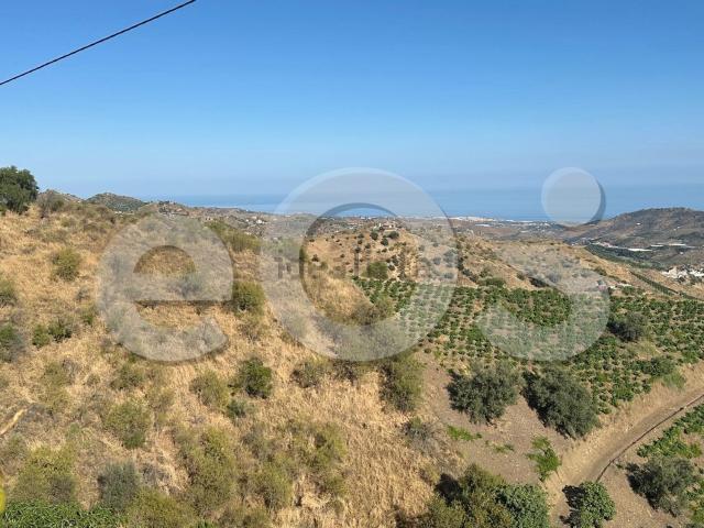 Terreno en venta en Almáchar, Málaga