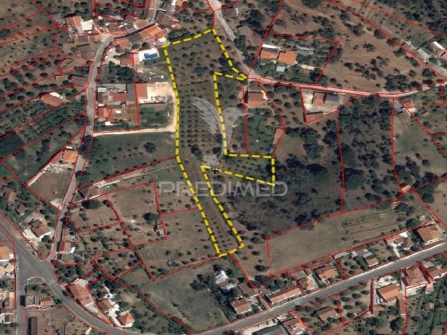 Terreno venda em Praia Do Ribatejo, Santarém