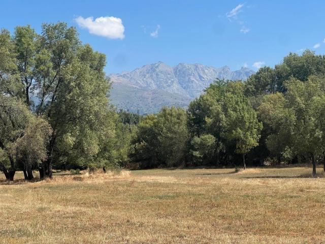 Terreno en venta en Oropesa, Castilla-La Mancha