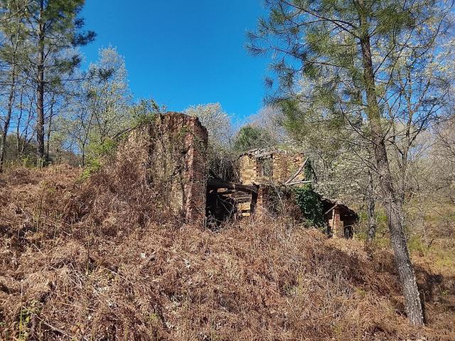 Terreno en venta en Madrigal De La Vera, Extremadura