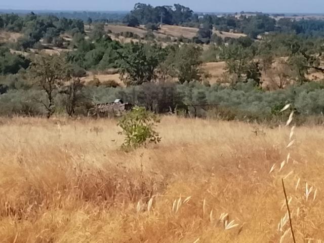 Terreno en venta en Madrigal de la Vera