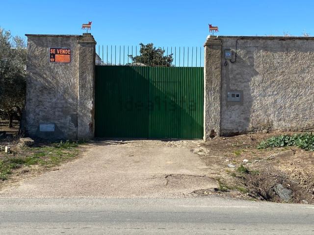 Terreno en venta en Madrigalejo, Extremadura