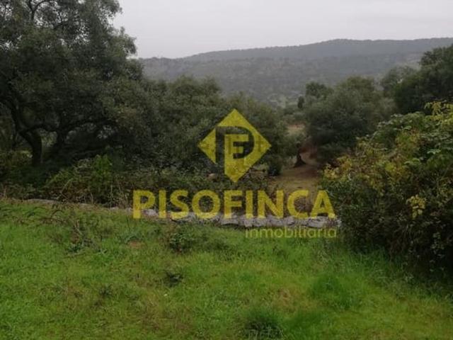 Terreno en venta en Madroñera, Extremadura