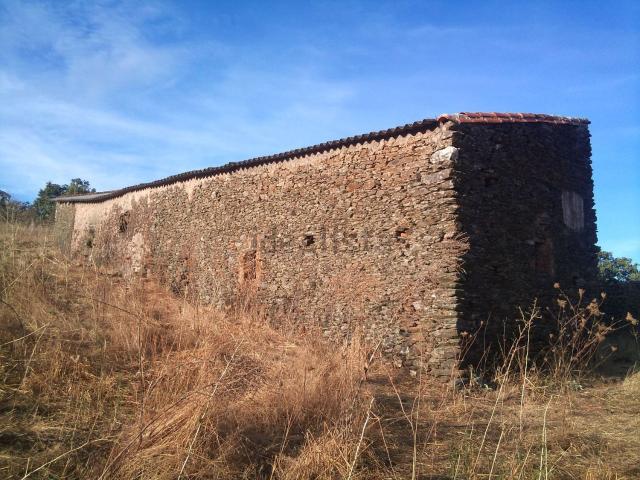 Terreno en venta en Madroñera, Extremadura