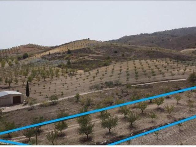 Local Comercial en venta en Valle del Almanzora, Andalucía