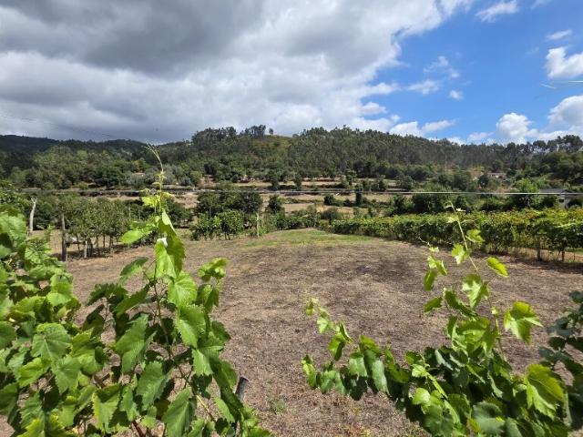 Terreno venda em Vilar e Mosteiró, Vila Do Conde