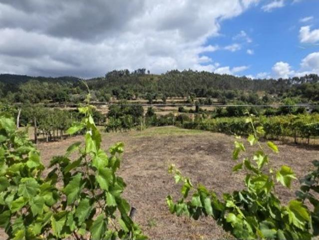 Terreno venda em Parada Do Bouro, Braga