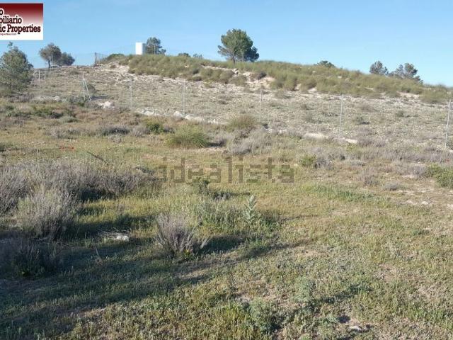 Terreno en alquiler en Mahora, Castilla-La Mancha
