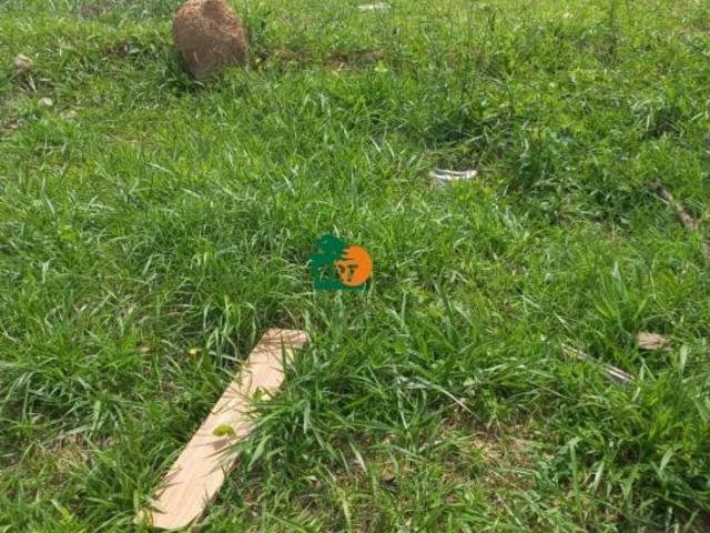 Terreno venda em Região Imediata de Sorocaba, Região Metropolitana de Sorocaba