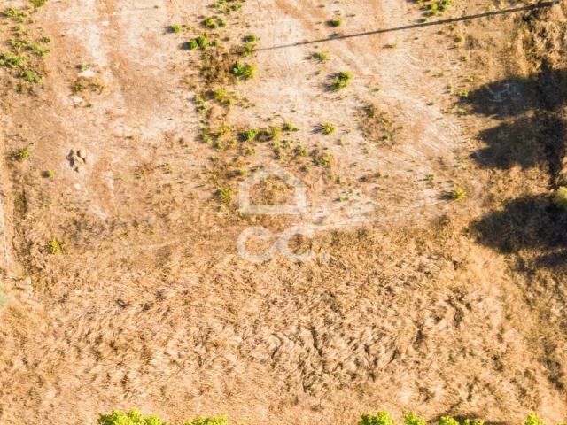 Terreno venda em Évora