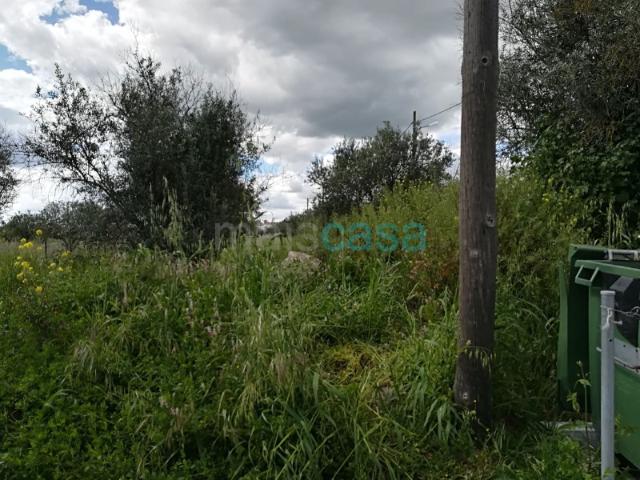Terreno venda em Évora