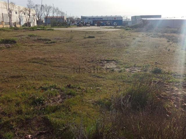 Terreno en venta en Polígono Industrial Las Arenas. Sector 3, Malpartida de Cáceres