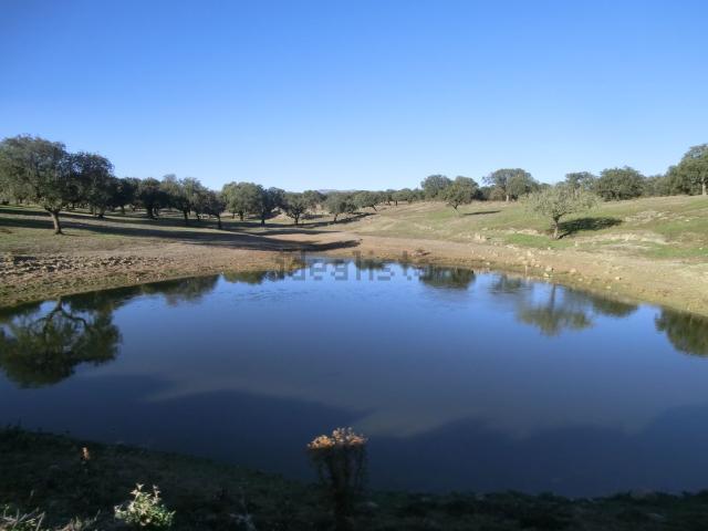 Terreno en venta en Urbanización Las Arenas, Malpartida de Cáceres