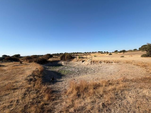Terreno en venta en Malpartida De Cáceres, Extremadura