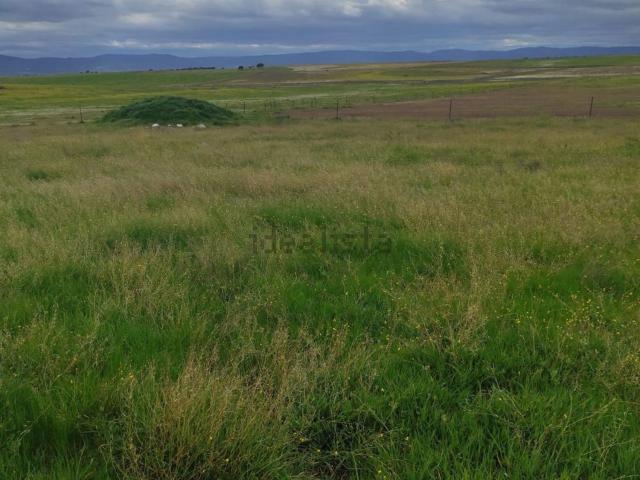 Terreno en venta en Malpartida De Cáceres, Extremadura