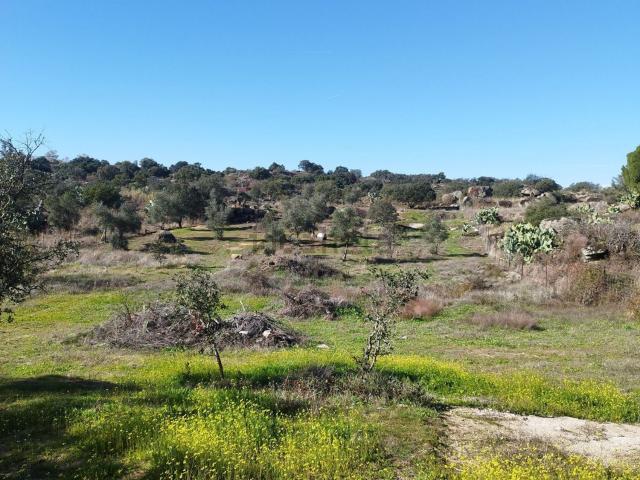 Terreno en venta en Malpartida De Cáceres, Extremadura