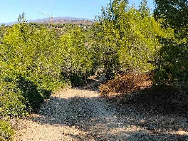 Terreno venda em Alcorvim de Cima, Cascais
