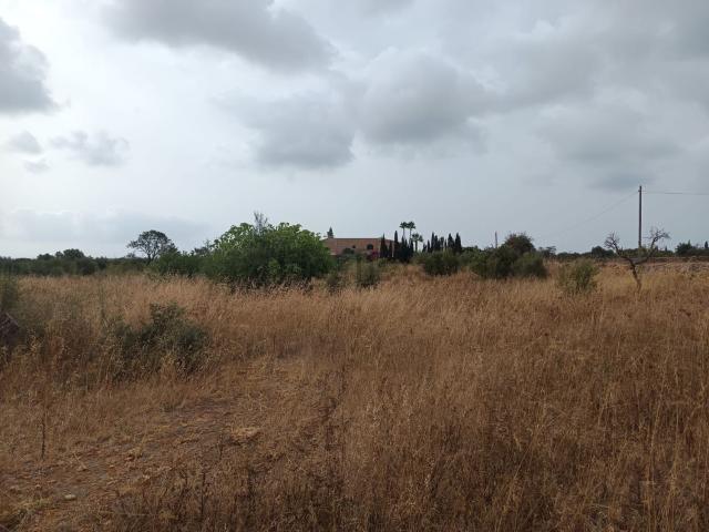 Terreno en venta en Manacor, Llevant